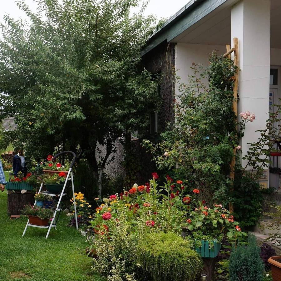 Leila'S Guest House Joqolo Екстериор снимка